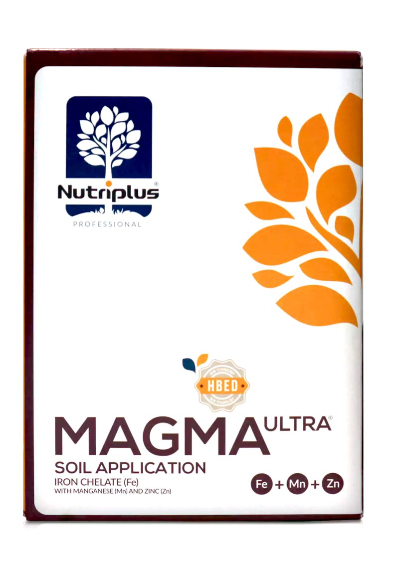 کود-آهن-ماگما-بازارگان-کالا-4 کود آهن ماگما Nutriplus ® MAGMA Ultra - تصویر 1