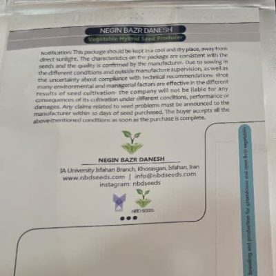 بذر خیار مینی گلخانه ای F1 سپند NBD (500 عددی)