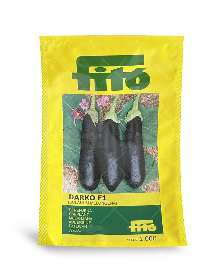 Eggplant-Darko-Fito بذر بادنجان دارکو فیتو F1 اسپانیا Fito (1000 عددی) - تصویر 1