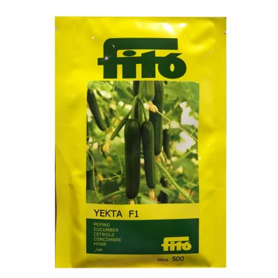 بذر خيار گلخانه اي يکتا فيتو F1 اسپانيا Fito (500 عددي)